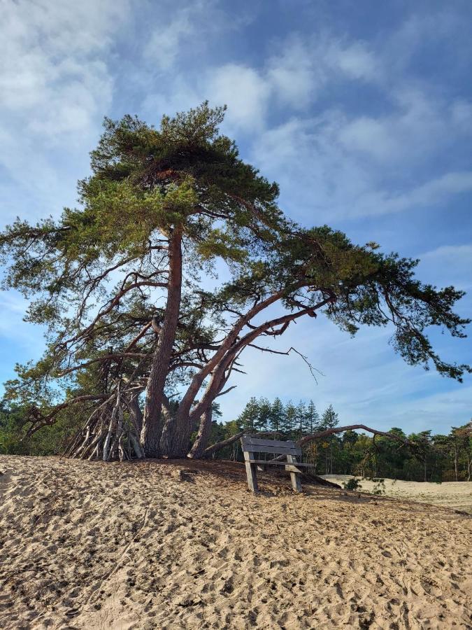 Vechtdal Beerze Buren ภายนอก รูปภาพ